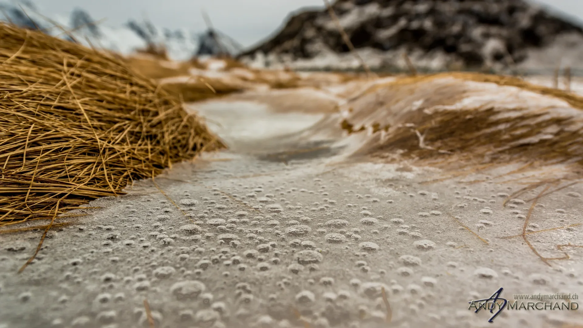 Luftblasen in einer dünnen Eisschicht zwischen trockenem Gras auf den Lofoten